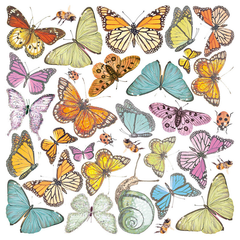 Enchanted Land 6x6 Vellum - Ciao Bella