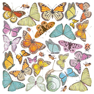 Enchanted Land 6x6 Vellum - Ciao Bella