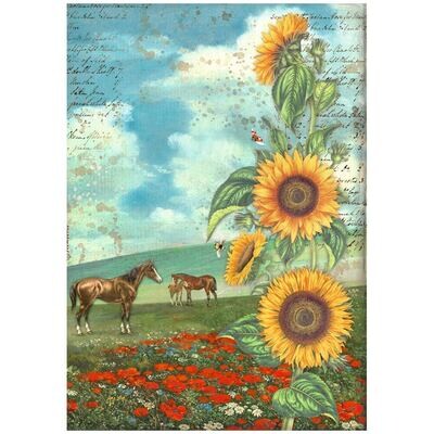 Sunflower Art Selection 6pk A4 - Stamperia