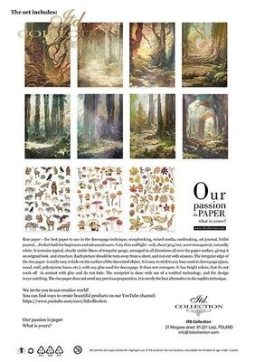 Mysterious Forest A4 Rice Paper Set - ITD Collection