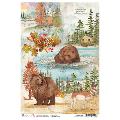 Into the Wild Collection A4 - Ciao Bella