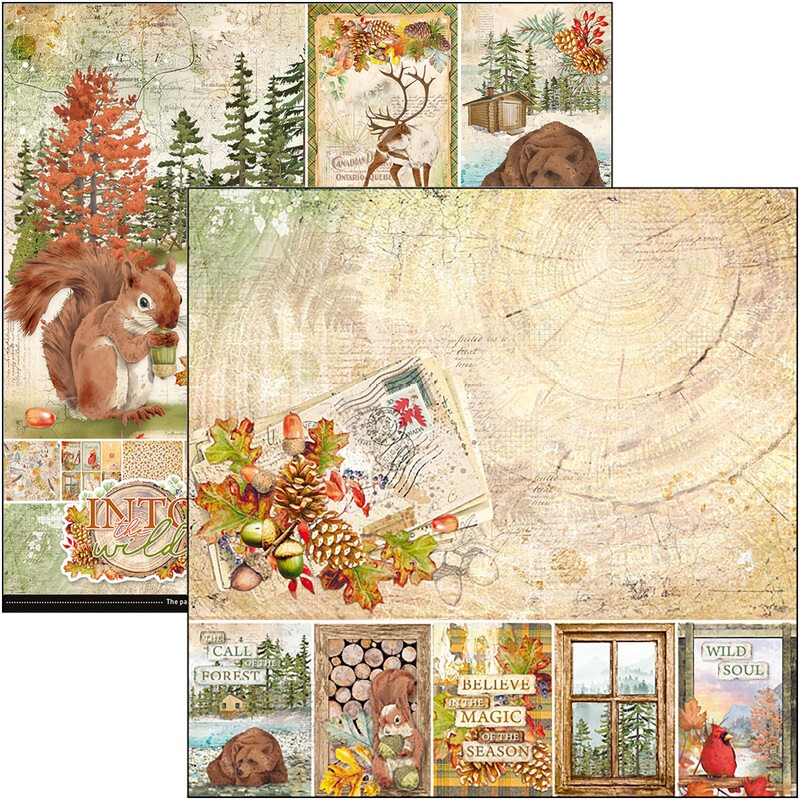 Into the Wild 12x12 - Ciao Bella