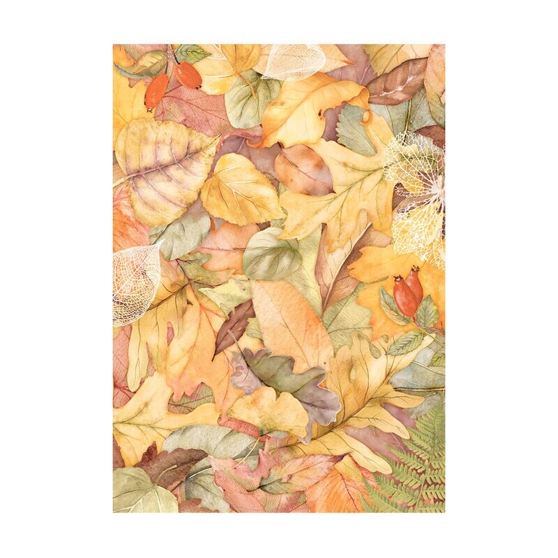 Woodland Selection 8pk A6 - Stamperia Romantic Collection