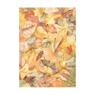 Woodland Selection 8pk A6 - Stamperia Romantic Collection