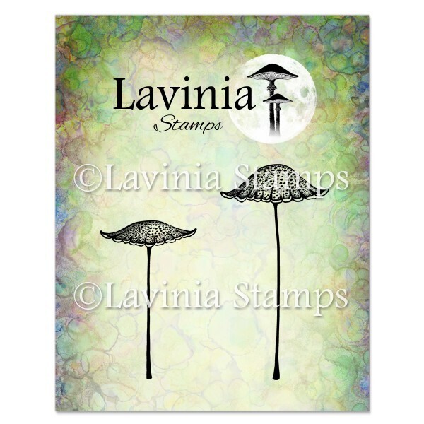 Thistlecap Mushrooms - Lavinia Stamps