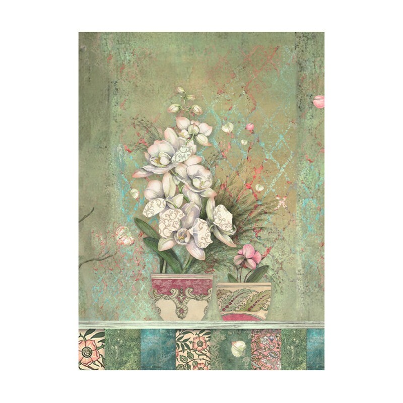Orchids and Cats Selection 8pk A6 - Stamperia