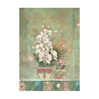 Orchids and Cats Selection 8pk A6 - Stamperia