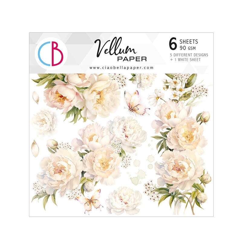 Always &amp; Forever 6x6 Vellum - Ciao Bella