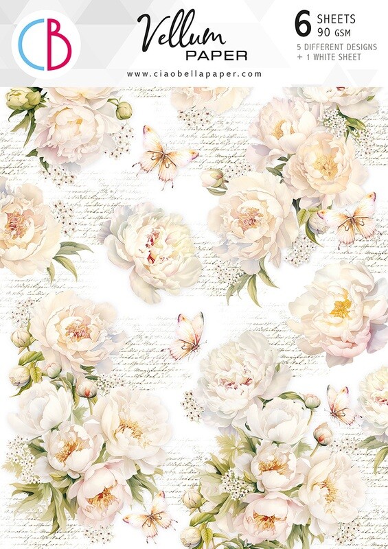 Always &amp; Forever Vellum A4 - Ciao Bella
