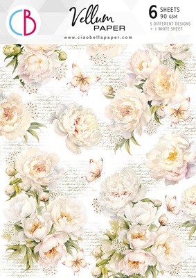 Always &amp; Forever Vellum A4 - Ciao Bella