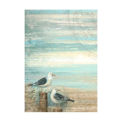 Sea Land Selection 8pk A6 - Stamperia