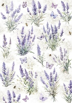Morning in Provence Vellum A4 - Ciao Bella