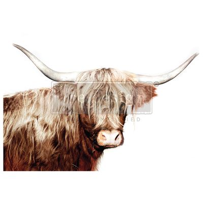Majestic Moo - Re-Design With Prima