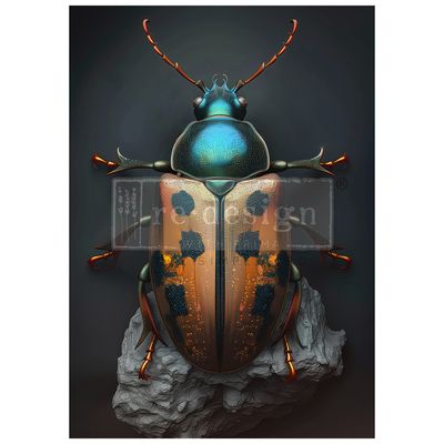 Brass Scarab - Re-Design With Prima