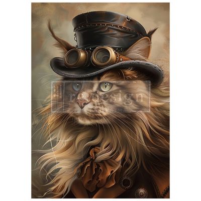 Steammeow - Re-Design With Prima