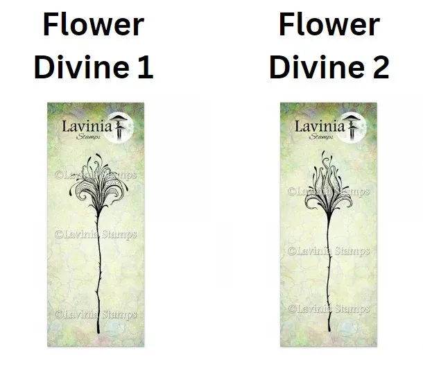 Flower Divine - Lavinia Stamps