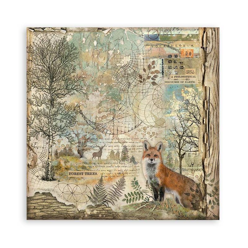 Forest XL 12x12 - Stamperia