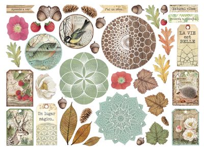 Forest Die Cuts - Stamperia