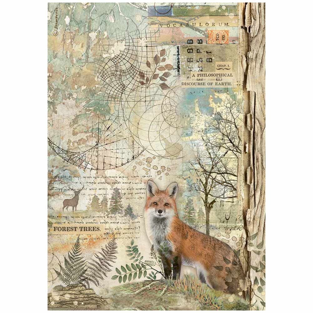 Forest Collection A4 - Stamperia, Design: Fox