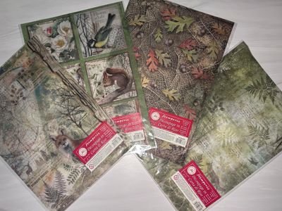 Forest Collection A4 - Stamperia