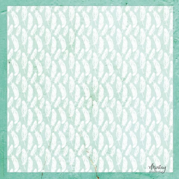 Feather Decorative Vellum 12x12 - Mintay Papers