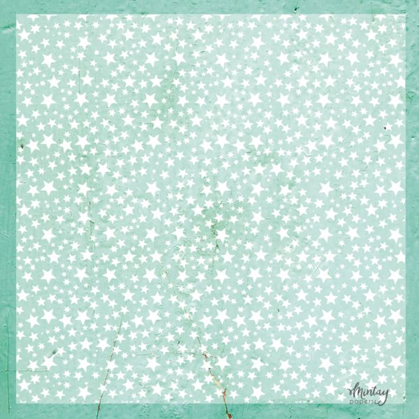 Stars Decorative Vellum 12x12 - Mintay Papers