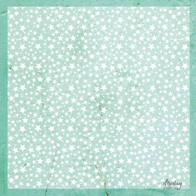 Stars Decorative Vellum 12x12 - Mintay Papers