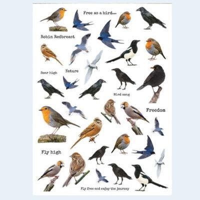 Songbird Stickers - Lavinia Stamps