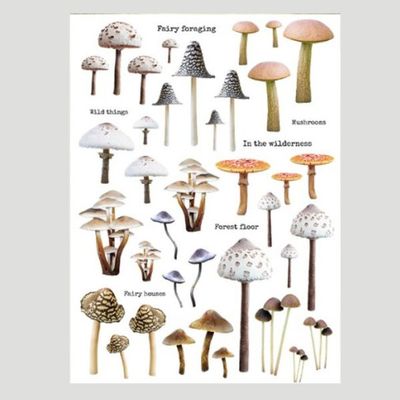 Mushroom Stickers 2 - Lavinia Stamps