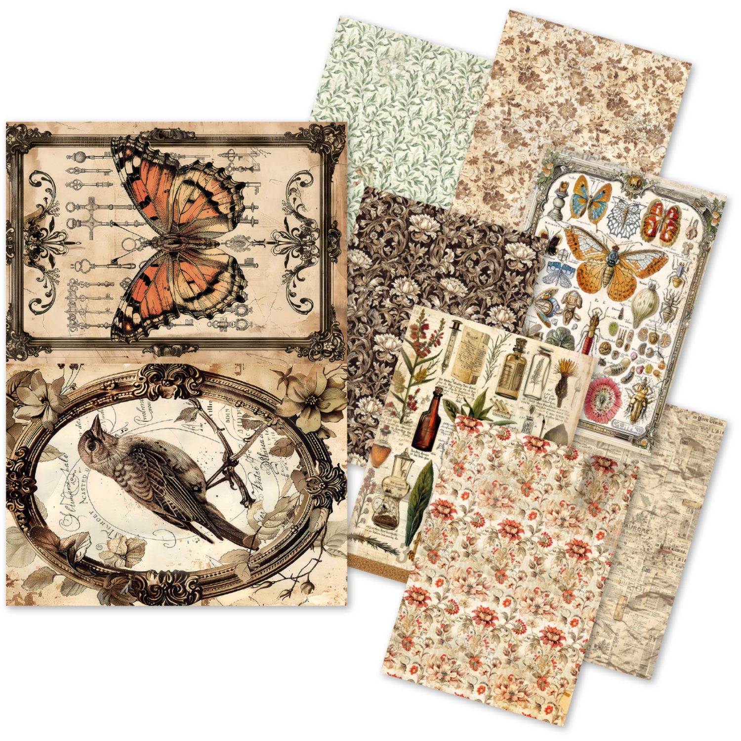 Cabinet of Curiosities A5 Mixed Rice Paper 8/pkg - Ciao Bella