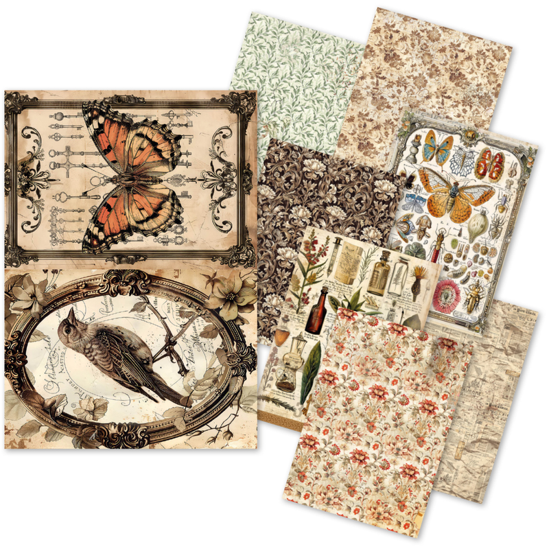 Cabinet of Curiosities A5 Mixed Rice Paper 8/pkg - Ciao Bella