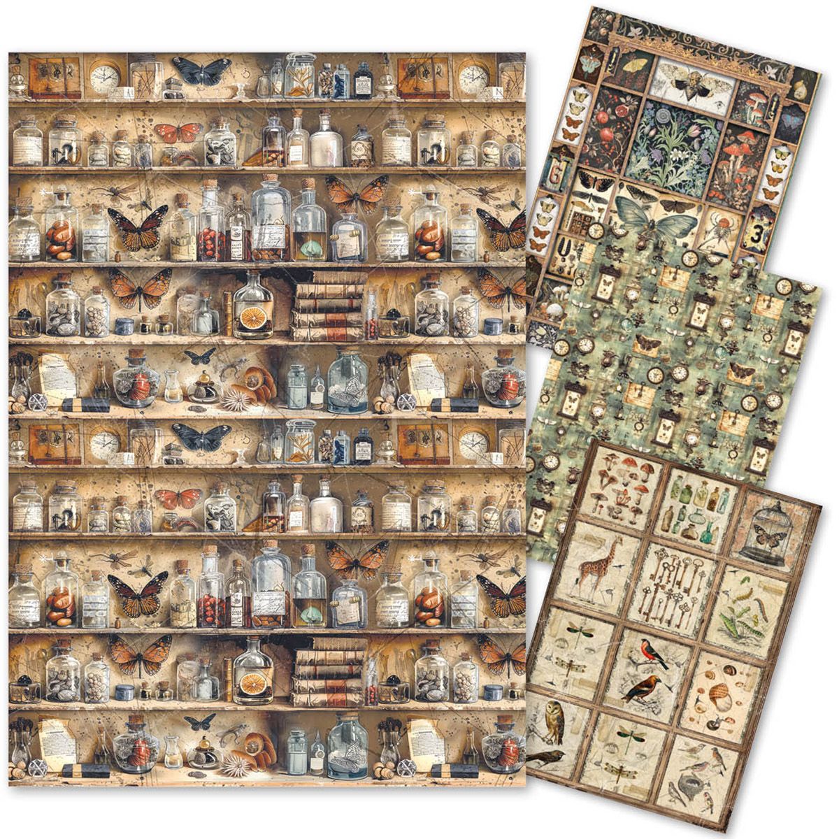 Cabinet of Curiosities A4 Mixed Rice Paper 4/pkg - Ciao Bella