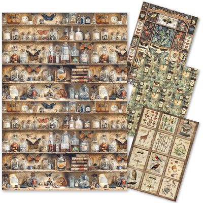 Cabinet of Curiosities A4 Mixed Rice Paper 4/pkg - Ciao Bella