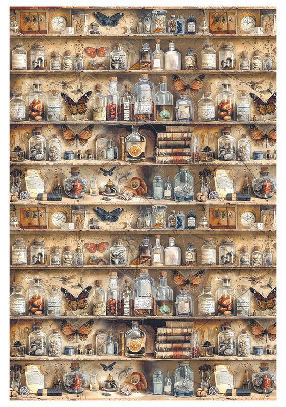 Cabinet of Curiosities A4 Mixed Rice Paper 4/pkg - Ciao Bella