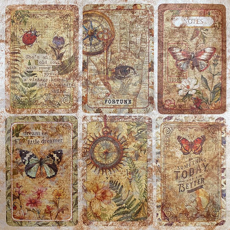 Cabinet of Curiosities 6x6 Deluxe Pearl Copper Sheets - Ciao Bella