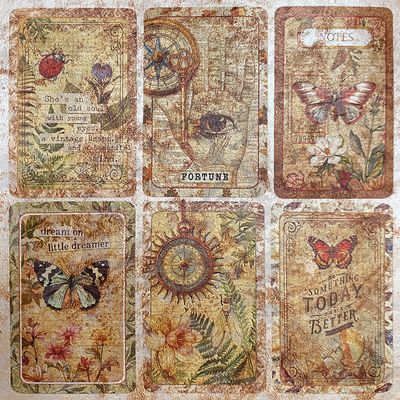 Cabinet of Curiosities 6x6 Deluxe Pearl Copper Sheets - Ciao Bella