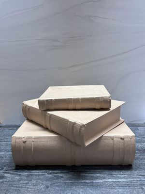 Paper Mache Book Box Set of 3