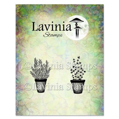 Rosemary &amp; Thyme Pots - Lavinia Stamps