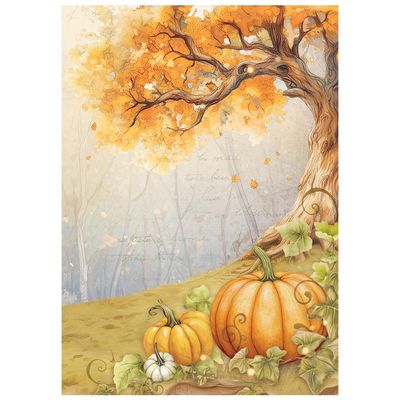 Whispering Woods Selection 8pk A6 - Stamperia