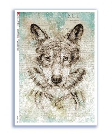 Animals-0190 A5 - Paper Designs