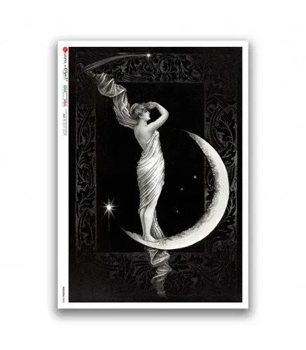 Nouveau-0042 A4- Paper Designs