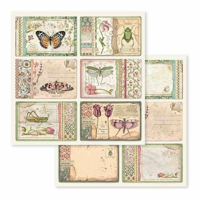 Spring Botanic 12x12 - Stamperia