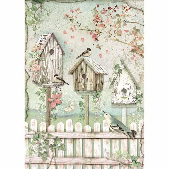 House of Roses Collection A4 - Stamperia