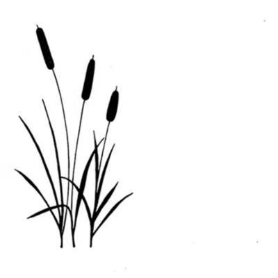 Bullrushes - Lavinia Stamps