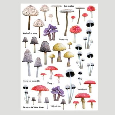 Mushroom Stickers 1 - Lavinia Stamps