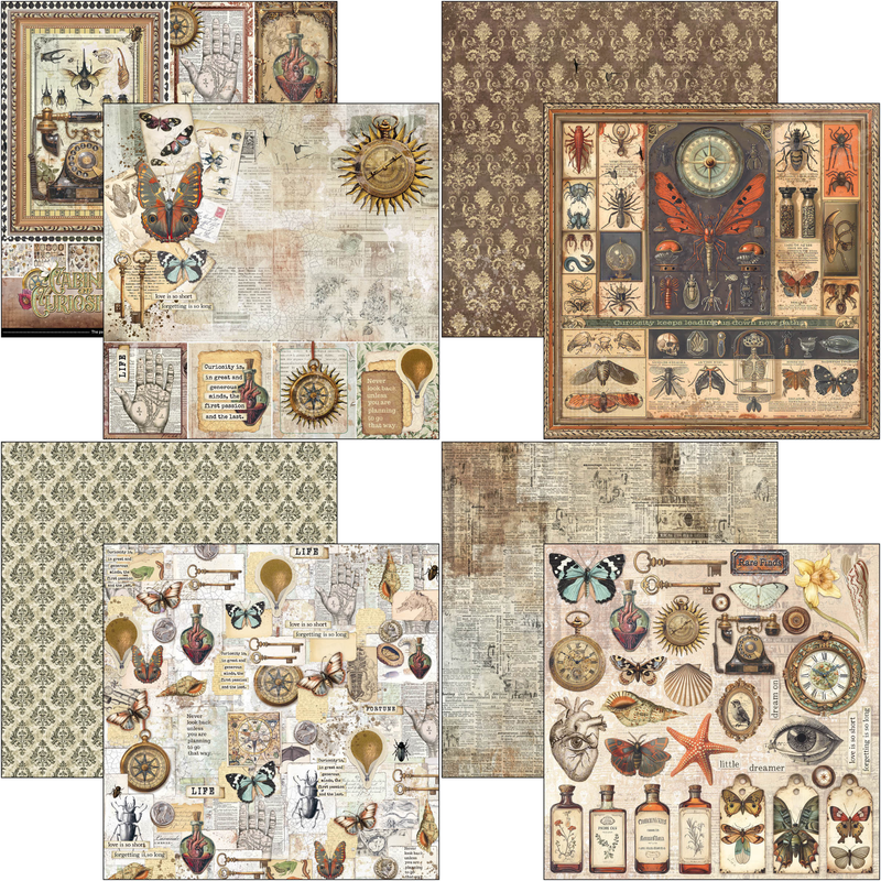 Cabinet of Curiosities 12x12 - Ciao Bella
