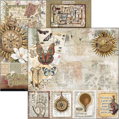 Cabinet of Curiosities 8x8 - Ciao Bella