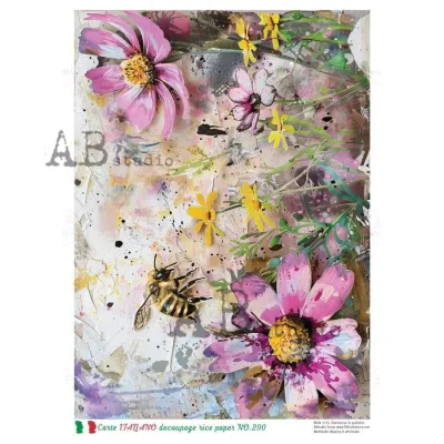 Carte Italiano A4 - ABStudio