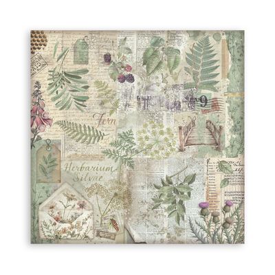 Herbarium Silvae Background 12x12 - Stamperia