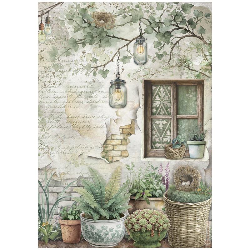 Herbarium Silvae Selection 6pk A4 - Stamperia